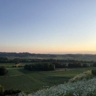 Swiftstop Trössing - kép 7