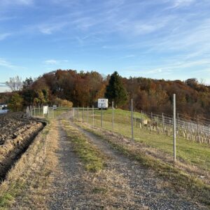 Swiftstop Trössing - obrázek 6