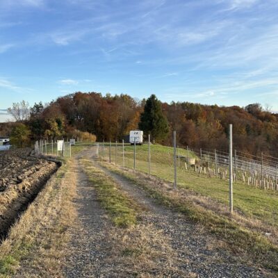 Swiftstop Trössing - kép 6